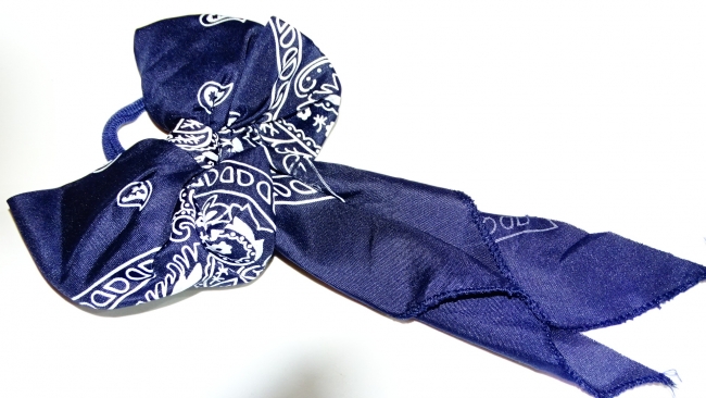 COLITA MOÑO BANDANA AZUL ++++