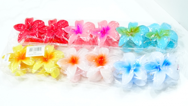 BROCHE X 12