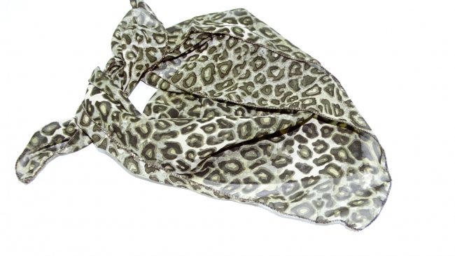 GATITO GASA PRINT