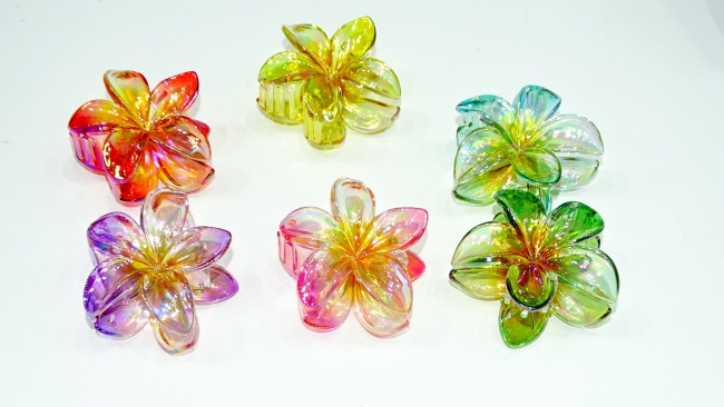 BROCHE 6 CM  X 12