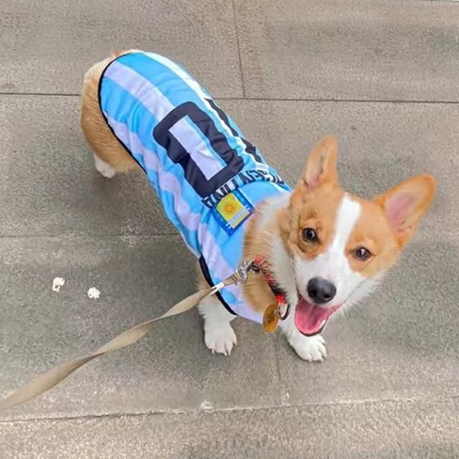 ROPA PARA MASCOTA ARGENTINA